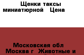 Щенки таксы миниатюрной › Цена ­ 15 000 - Московская обл., Москва г. Животные и растения » Собаки   